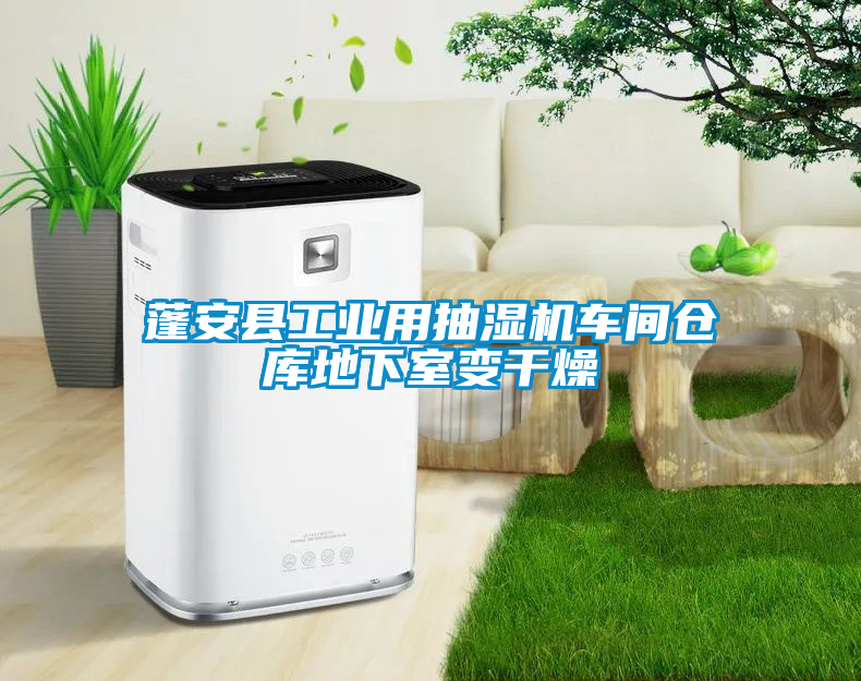蓬安縣工業(yè)用抽濕機(jī)車(chē)間倉(cāng)庫(kù)地下室變干燥