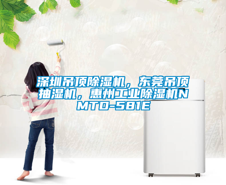 深圳吊頂除濕機，東莞吊頂抽濕機，惠州工業(yè)除濕機NMTD-581E