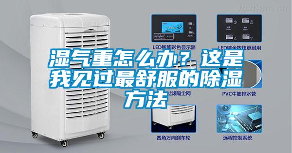 濕氣重怎么辦？這是我見過最舒服的除濕方法
