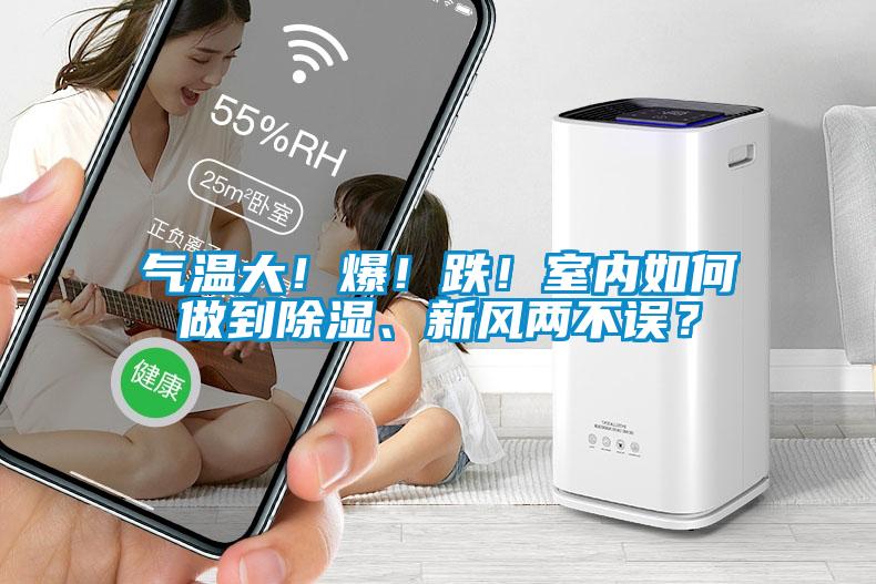氣溫大！爆！跌！室內(nèi)如何做到除濕、新風(fēng)兩不誤？