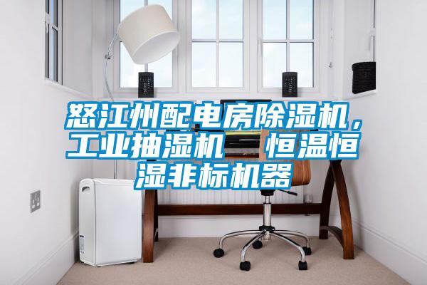 怒江州配電房除濕機(jī)，工業(yè)抽濕機(jī)  恒溫恒濕非標(biāo)機(jī)器
