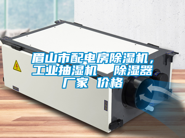 眉山市配電房除濕機，工業(yè)抽濕機  除濕器廠家 價格