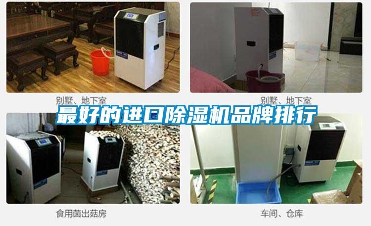最好的進(jìn)口除濕機(jī)品牌排行