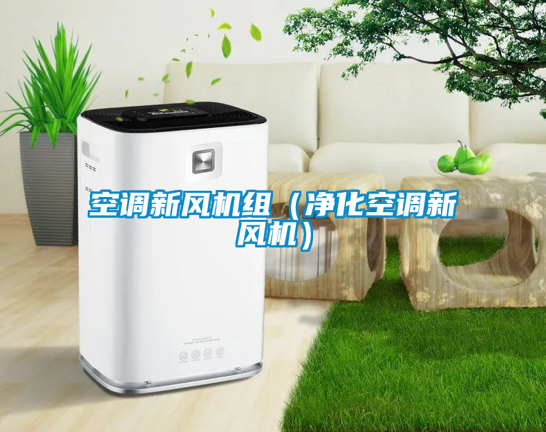 空調(diào)新風(fēng)機組（凈化空調(diào)新風(fēng)機）