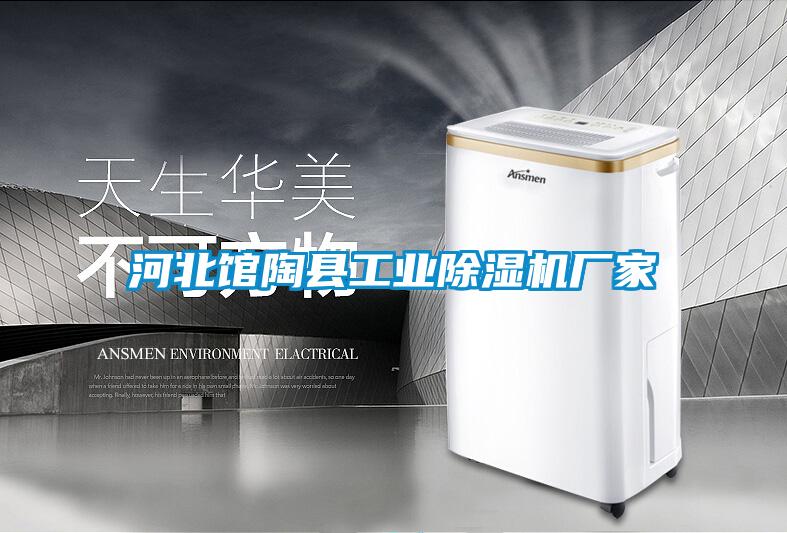 河北館陶縣工業(yè)除濕機廠家