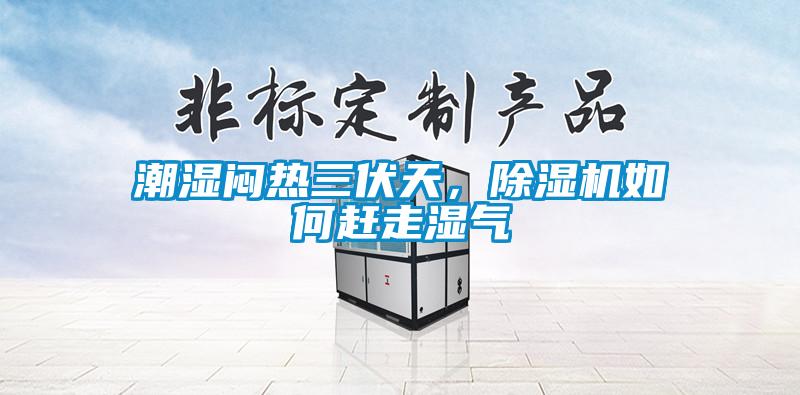 潮濕悶熱三伏天，除濕機(jī)如何趕走濕氣