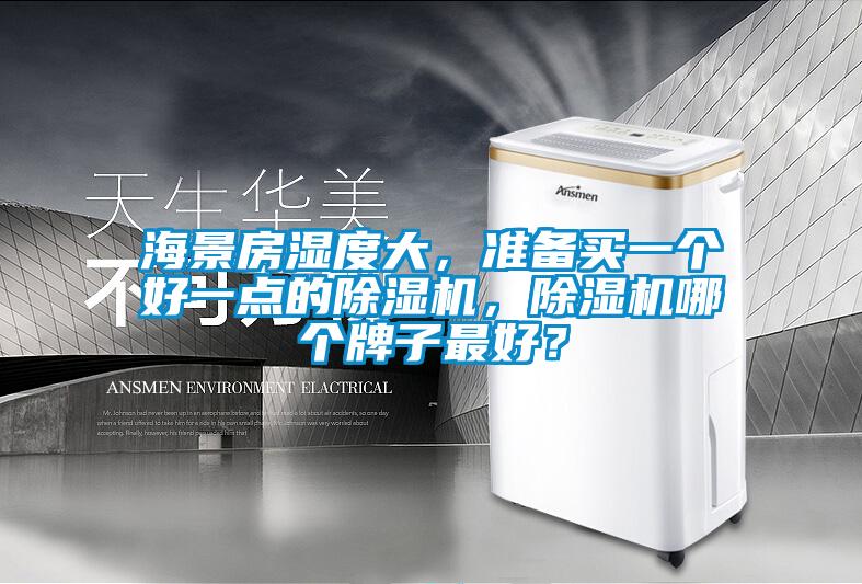 海景房濕度大，準(zhǔn)備買一個(gè)好一點(diǎn)的除濕機(jī)，除濕機(jī)哪個(gè)牌子最好？