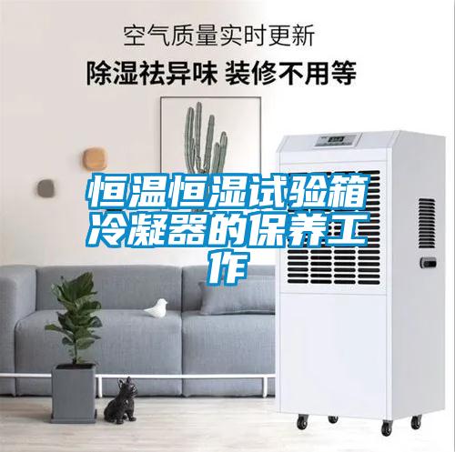 恒溫恒濕試驗(yàn)箱冷凝器的保養(yǎng)工作