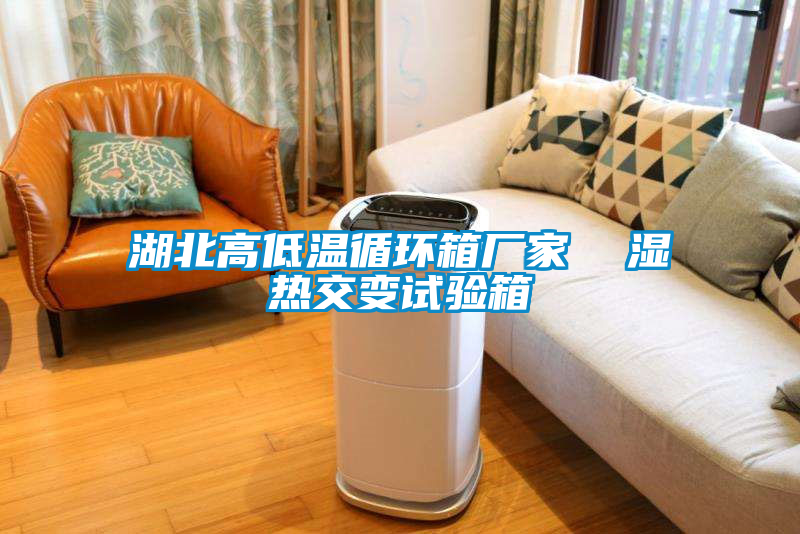 湖北高低溫循環(huán)箱廠家  濕熱交變試驗箱