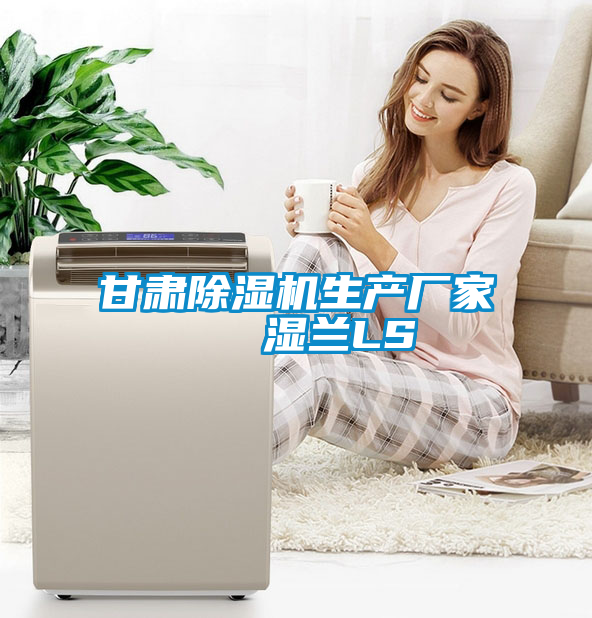 甘肅除濕機生產(chǎn)廠家   濕蘭LS