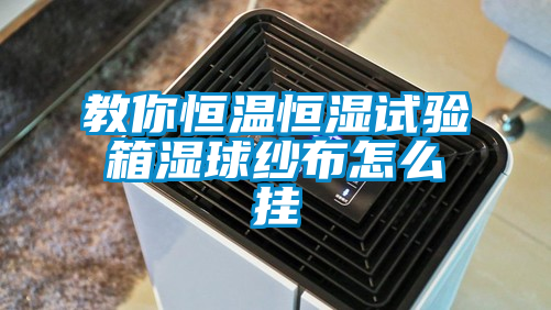 教你恒溫恒濕試驗箱濕球紗布怎么掛