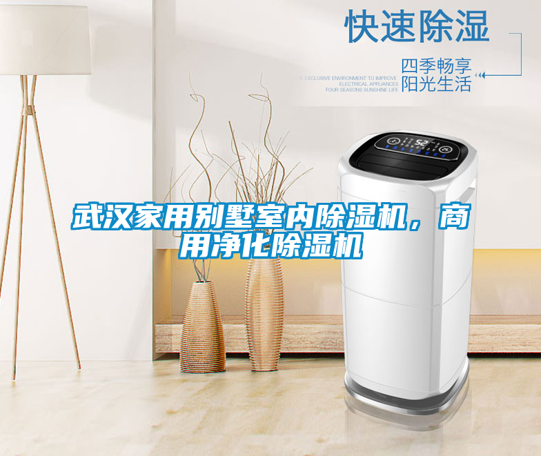 武漢家用別墅室內(nèi)除濕機(jī)，商用凈化除濕機(jī)