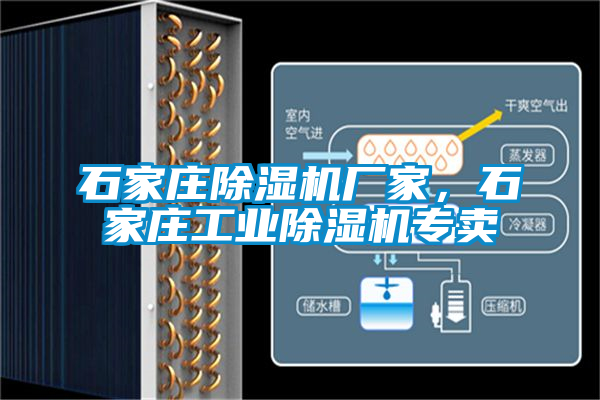石家莊除濕機廠家，石家莊工業(yè)除濕機專賣