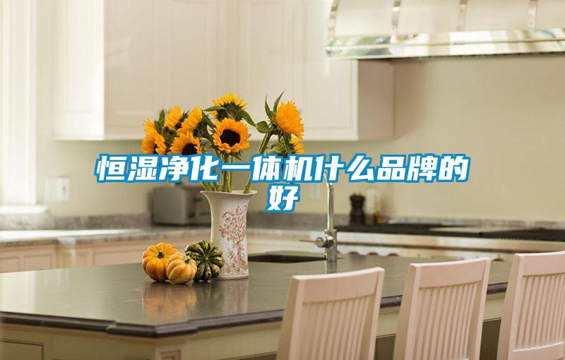 恒濕凈化一體機(jī)什么品牌的好