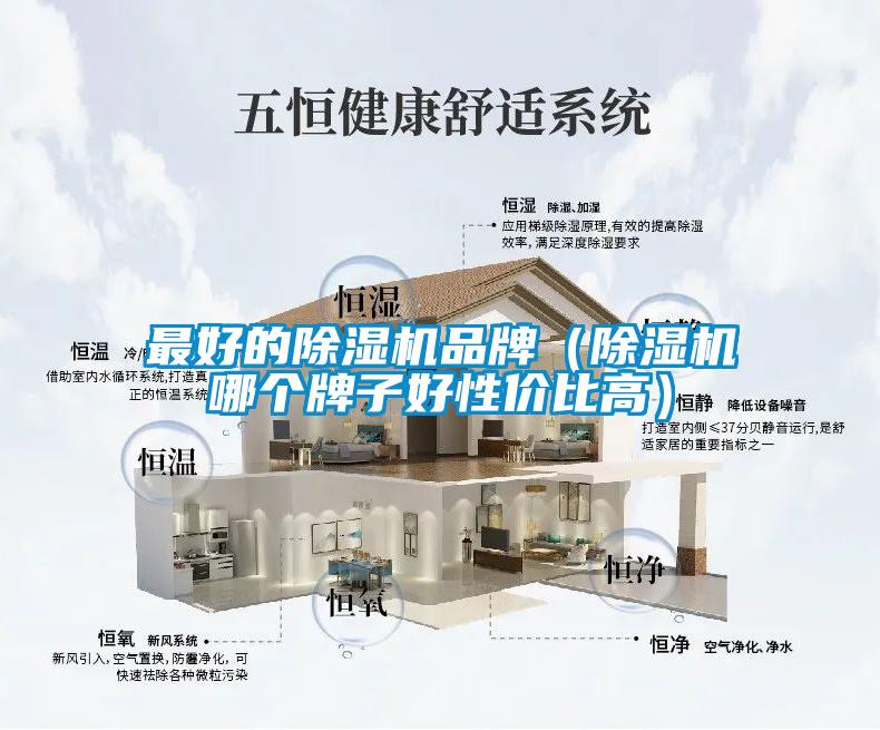 最好的除濕機(jī)品牌（除濕機(jī)哪個(gè)牌子好性價(jià)比高）