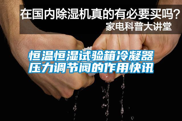 恒溫恒濕試驗(yàn)箱冷凝器壓力調(diào)節(jié)閥的作用快訊
