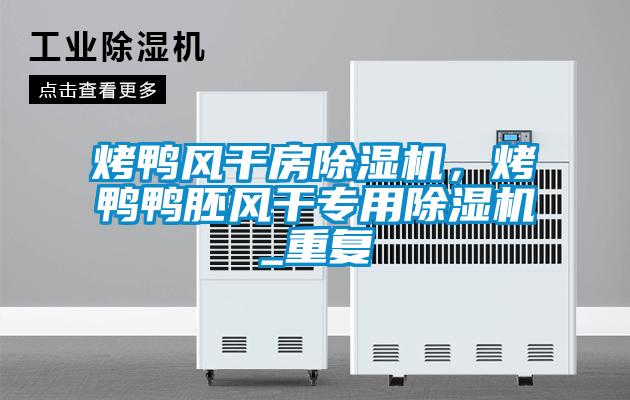 烤鴨風(fēng)干房除濕機(jī)，烤鴨鴨胚風(fēng)干專用除濕機(jī)_重復(fù)