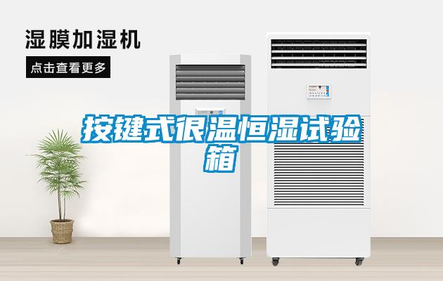 按鍵式很溫恒濕試驗箱