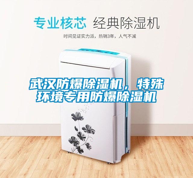 武漢防爆除濕機(jī)，特殊環(huán)境專用防爆除濕機(jī)