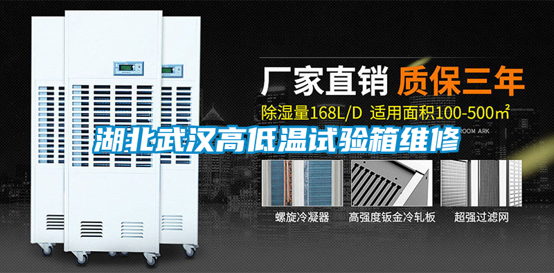 湖北武漢高低溫試驗(yàn)箱維修