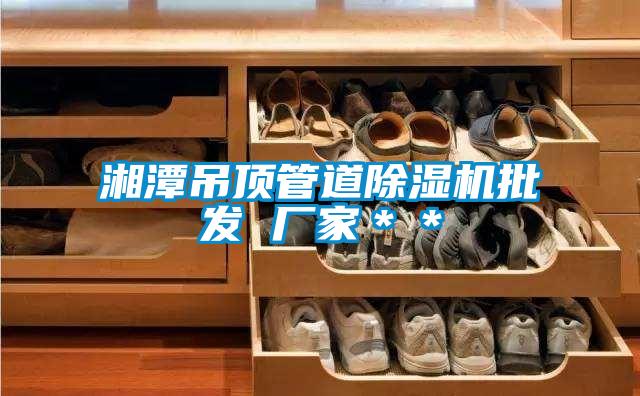 湘潭吊頂管道除濕機批發(fā) 廠家＊＊
