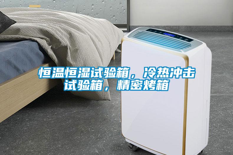恒溫恒濕試驗箱，冷熱沖擊試驗箱，精密烤箱