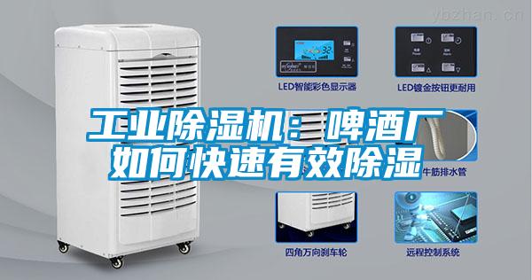 工業(yè)除濕機(jī)：啤酒廠如何快速有效除濕