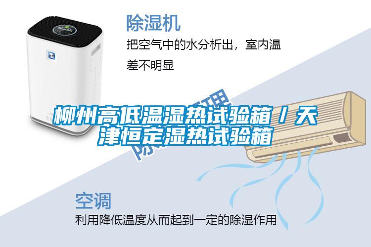 柳州高低溫濕熱試驗(yàn)箱／天津恒定濕熱試驗(yàn)箱