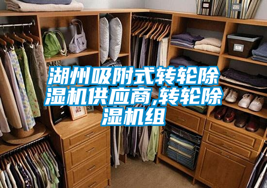 湖州吸附式轉(zhuǎn)輪除濕機供應商,轉(zhuǎn)輪除濕機組