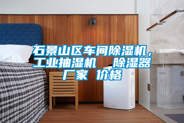 石景山區(qū)車間除濕機(jī)，工業(yè)抽濕機(jī)  除濕器廠家 價(jià)格