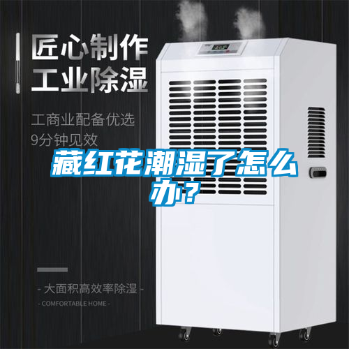 藏紅花潮濕了怎么辦？