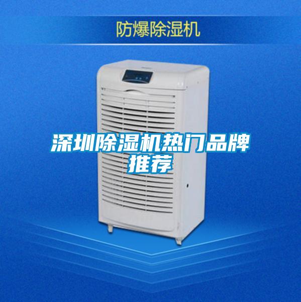 深圳除濕機熱門品牌推薦