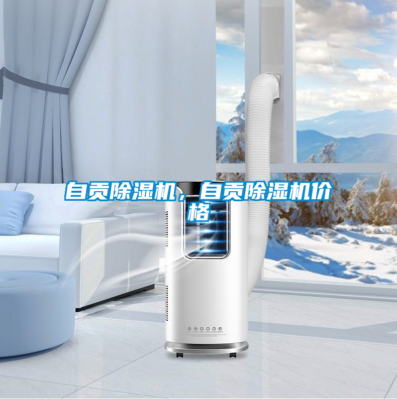自貢除濕機(jī)，自貢除濕機(jī)價(jià)格