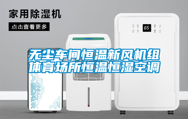 無塵車間恒溫新風機組體育場所恒溫恒濕空調(diào)