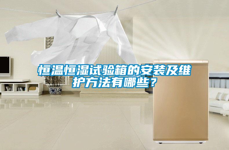 恒溫恒濕試驗(yàn)箱的安裝及維護(hù)方法有哪些？