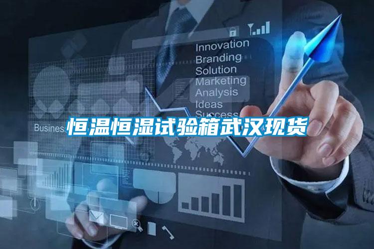恒溫恒濕試驗箱武漢現(xiàn)貨
