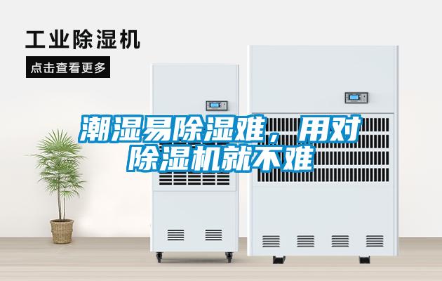 潮濕易除濕難，用對除濕機就不難