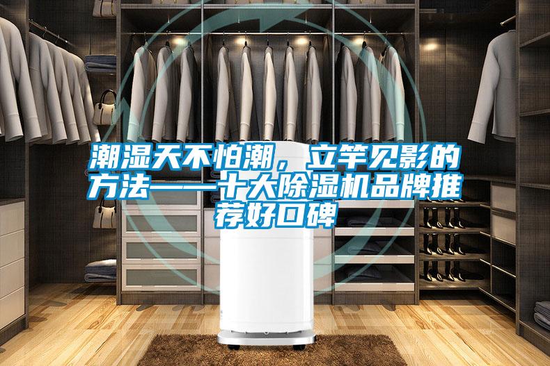 潮濕天不怕潮，立竿見影的方法——十大除濕機品牌推薦好口碑