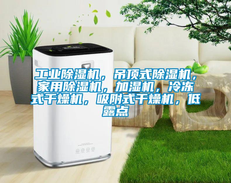 工業(yè)除濕機(jī)，吊頂式除濕機(jī)，家用除濕機(jī)，加濕機(jī)，冷凍式干燥機(jī)，吸附式干燥機(jī)，低露點(diǎn)