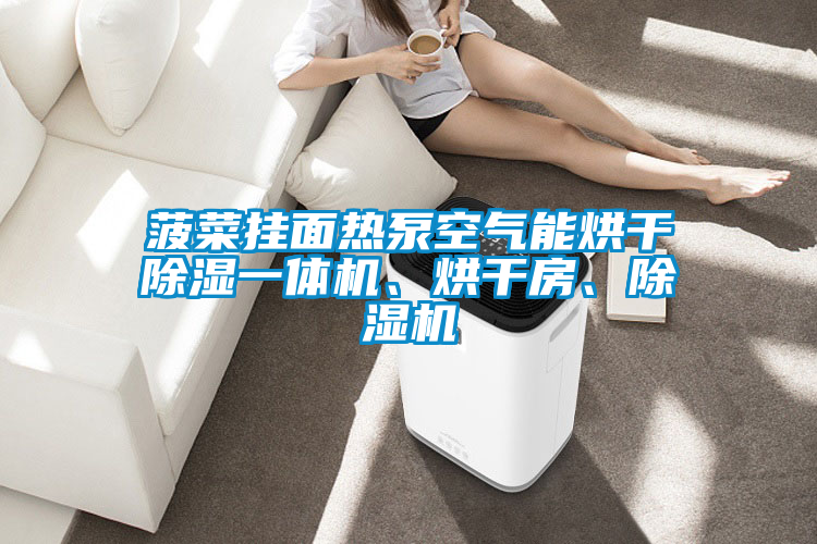菠菜掛面熱泵空氣能烘干除濕一體機(jī)、烘干房、除濕機(jī)
