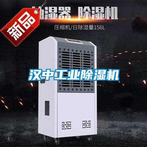 漢中工業(yè)除濕機(jī)
