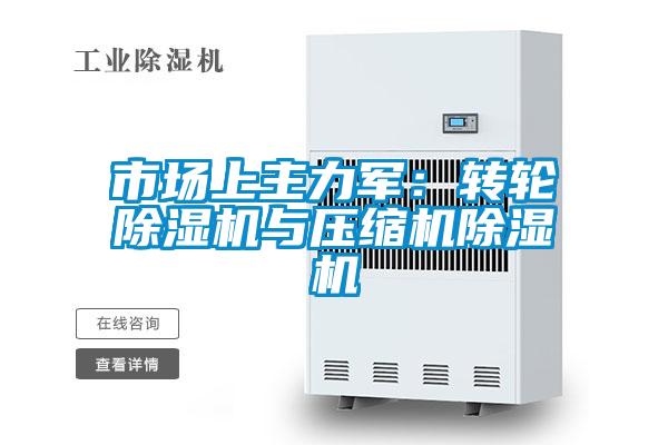 市場(chǎng)上主力軍：轉(zhuǎn)輪除濕機(jī)與壓縮機(jī)除濕機(jī)