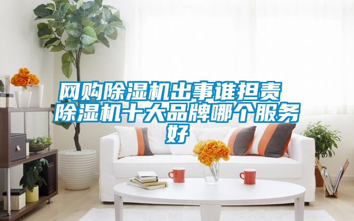 網(wǎng)購(gòu)除濕機(jī)出事誰擔(dān)責(zé) 除濕機(jī)十大品牌哪個(gè)服務(wù)好