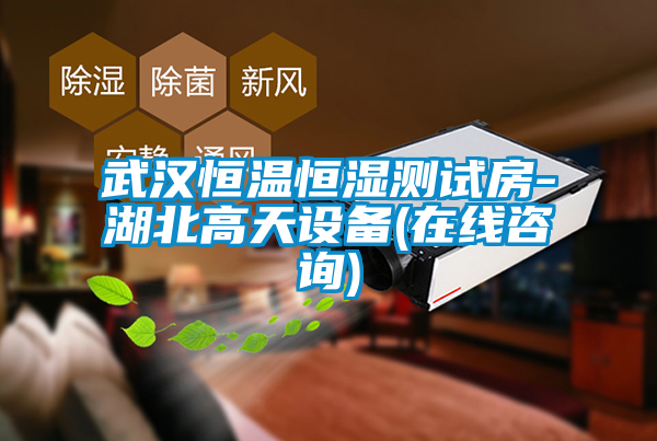 武漢恒溫恒濕測(cè)試房-湖北高天設(shè)備(在線(xiàn)咨詢(xún))