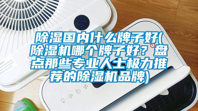 除濕國內(nèi)什么牌子好(除濕機哪個牌子好？盤點那些專業(yè)人士極力推薦的除濕機品牌)