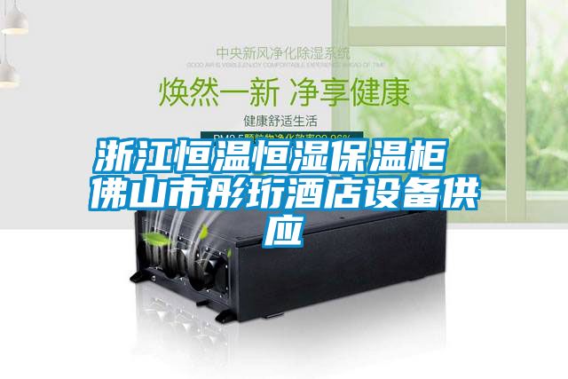 浙江恒溫恒濕保溫柜 佛山市彤珩酒店設備供應
