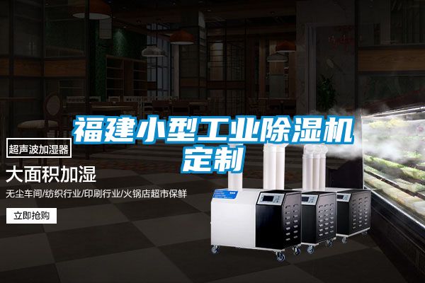 福建小型工業(yè)除濕機(jī)定制