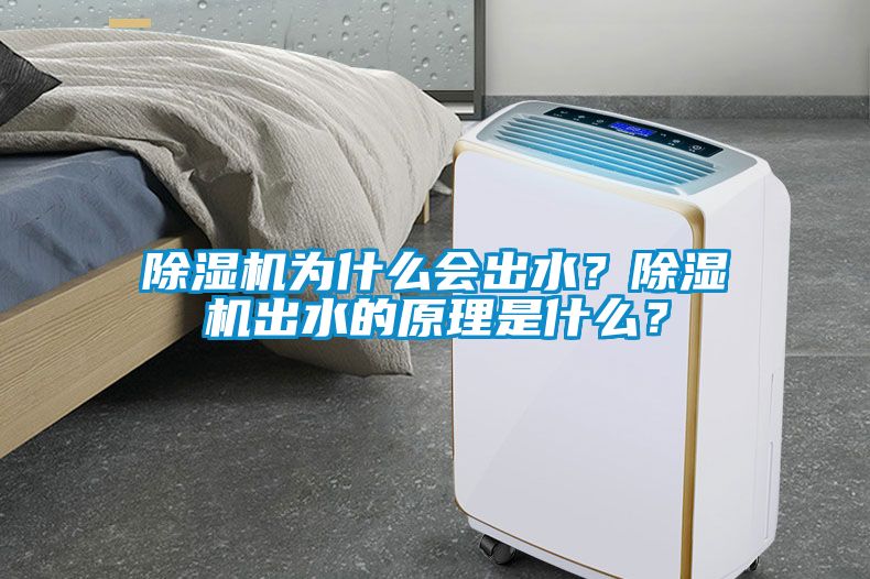 除濕機為什么會出水？除濕機出水的原理是什么？