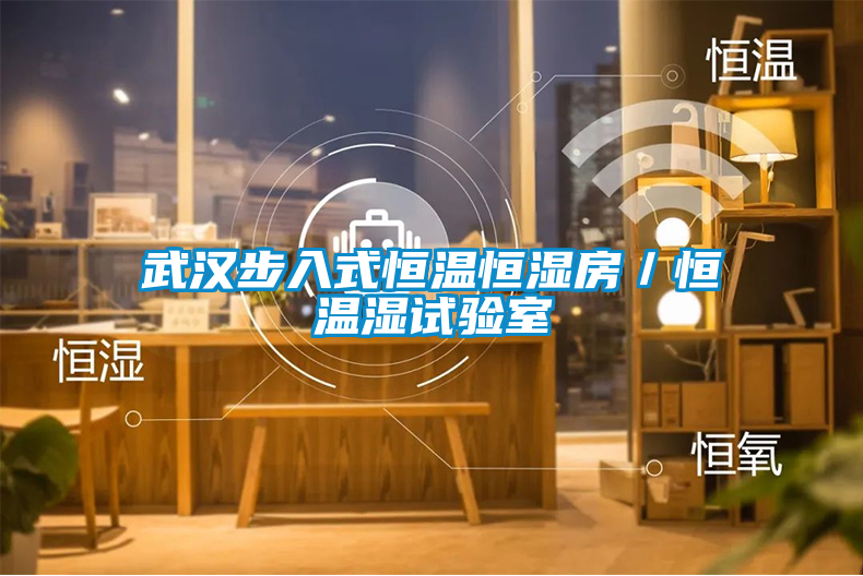 武漢步入式恒溫恒濕房／恒溫濕試驗(yàn)室