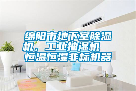 綿陽市地下室除濕機，工業(yè)抽濕機  恒溫恒濕非標機器